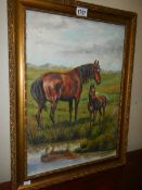 A Tom Bundell oil on board painting of mare/foal in water meadow.