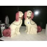 A pair of Staffordshire dogs