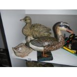 3 duck ornaments