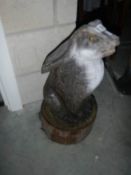 A carved wood hare