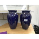Two blue vases
