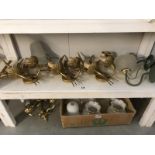 2 shelves of light fittings and glass shades s