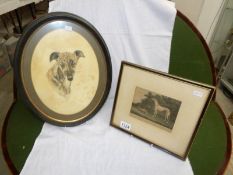 2 framed and glazed studies of greyhounds.