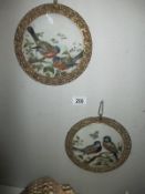 A pair of 19th century gilded brass framed paintings of birds on glass a/f