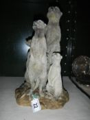 A meerkat family garden statue