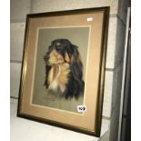 A framed and glazed watercolour of a dog signed and dated 1991