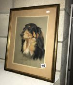 A framed and glazed watercolour of a dog signed and dated 1991