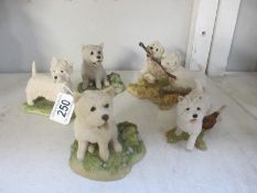 5 Scottie Dogs including Border Fine Arts