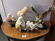 A Country Artists 'barn owls in barn',