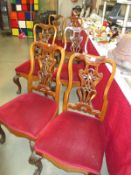 6 Edwardian dining chairs with red upholstery seats