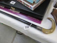 A horn handled walking cane with silver collar