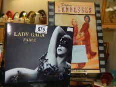 A Lady Gaga Fame book etc