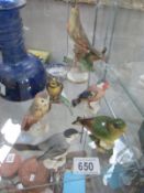 5 bird figurines including 4 Goebel and 1 Beswick