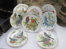 9 bird related collectors plates