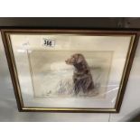 A limited edition print of a brown Labrador by Gill Evans