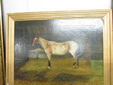 A 19th century oil on canvas 'Horse in Stable' signed J. Sear, image 59 x 45 cm.