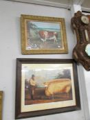 2 framed and glazed prints being a prize sheep and a prize bull.