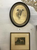 2 framed and glazed studies of greyhounds