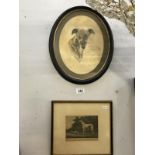 2 framed and glazed studies of greyhounds