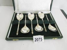 A superb cased set of 6 wide bowl silver spoons with owl finials being a presentation from