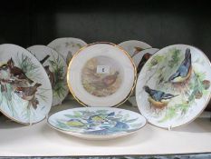 A quantity of collectors plates featuring birds (some from WWF)