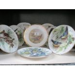 A quantity of collectors plates featuring birds (some from WWF)