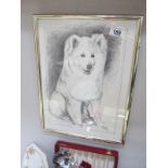 A framed and glazed print of a Husky by Pollyanna Pickering