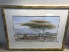 A watercolour of lions in the Savannah signed Rob O'Meara