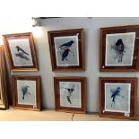 6 framed & glazed pictures of birds