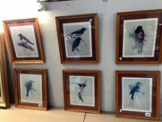 6 framed & glazed pictures of birds