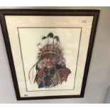 A framed & glazed tapestry of an Indian Chief