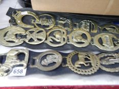 A quantity of horse brasses on 3 leather straps