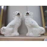 A pair of 19th/20th century Staffordshire Pottery dogs