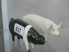 Two Beswick pigs