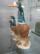 Four Beswick mallard ducks possibly running ducks- various sizes