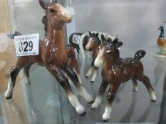 4 Beswick horse foals