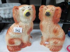 A pair of Staffordshire dogs