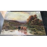 A good oil on canvas - Highland cattle, signed A.P.