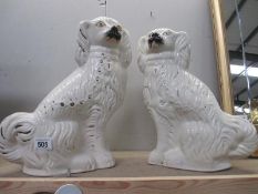 A pair of 19th/20th century Staffordshire Pottery dogs