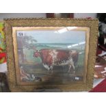 A framed and glazed naïve picture of a bull