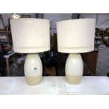 A pair of modern table lamps