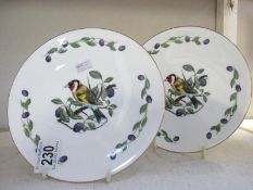 2 Coalport cabinet footed plates depicting birds by Norman Arlott