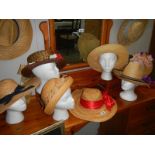 A quantity of straw hats