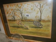 A good old watercolour of greyhounds chasing rabbit