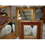 3 gilded framed mirrors