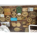 A collection of brass badges and plates from Steam fairs etc