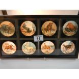 A set of 8 coloured magic lantern slides depicting wild animals No.s 33 - 40, in good condition.