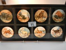 A set of 8 coloured magic lantern slides depicting wild animals No.s 33 - 40, in good condition.