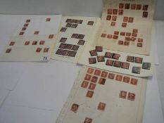 A collection of penny red stamps together with 2 penny blue stamps.