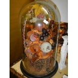 A Victorian fruit display under glass dome.